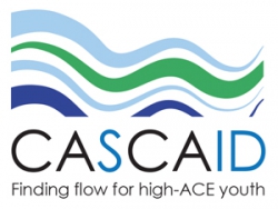 Lost Voices and the CASCAID Project